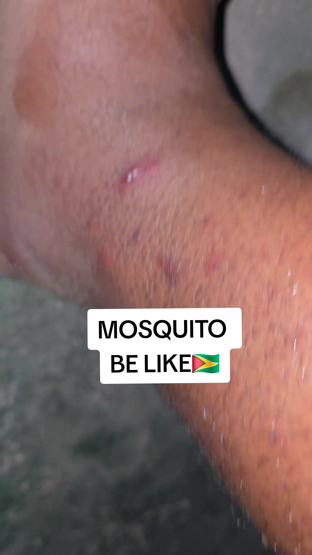@stafa kadmiri 🇲🇦🇯🇲