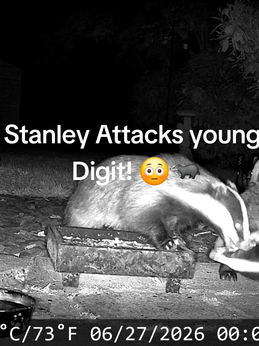 @Kent Garden Wildlife UK