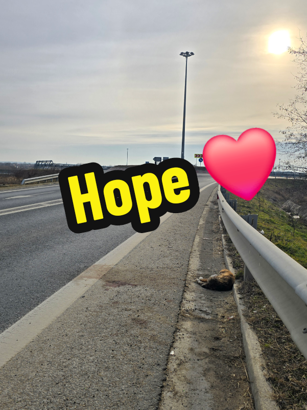 @Sevi