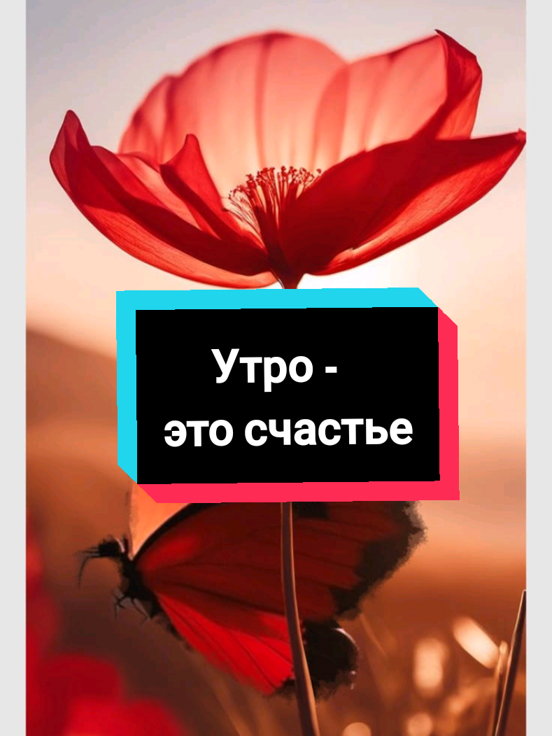 @Glafira