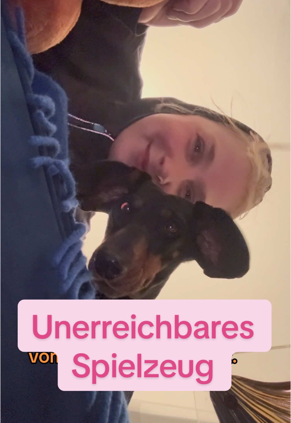 @SausagedogMaja
