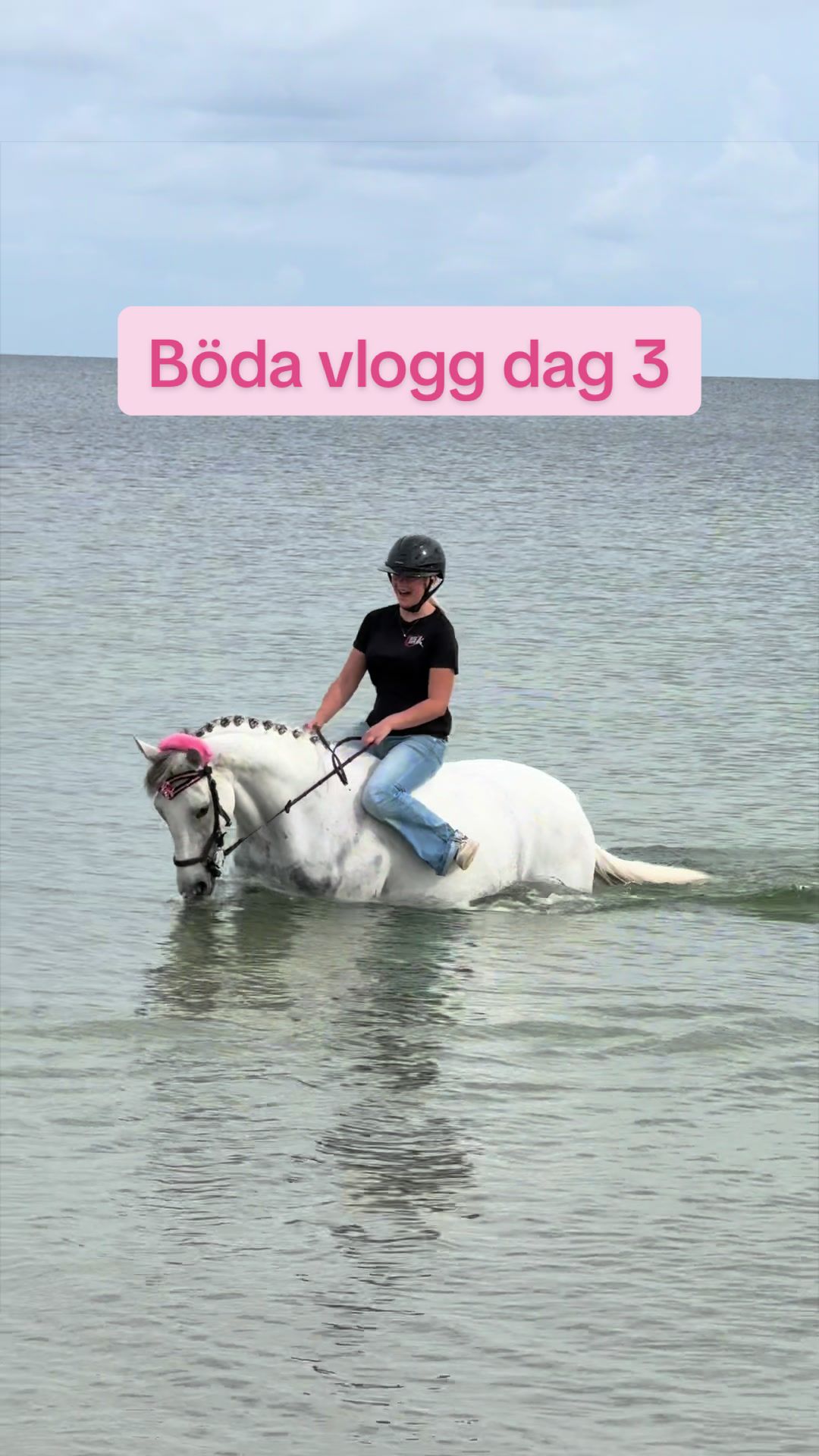 @🇸🇪Team Alslycka🇸🇪