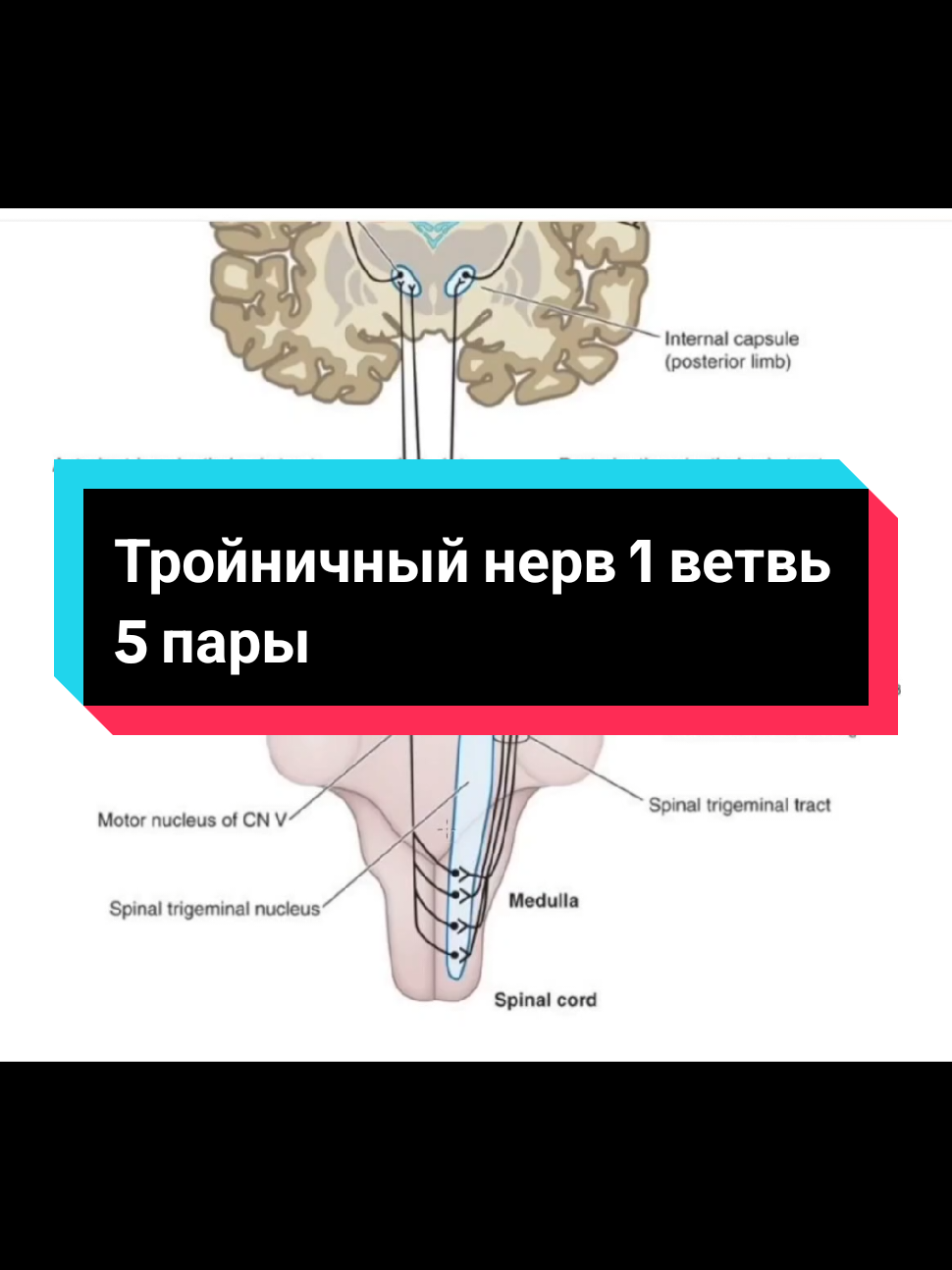 @DushaBolnicy💫