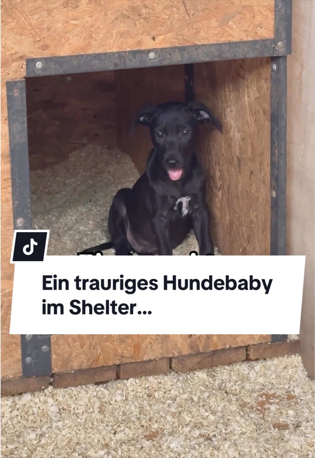 @Ein Herz für Streuner e.V.