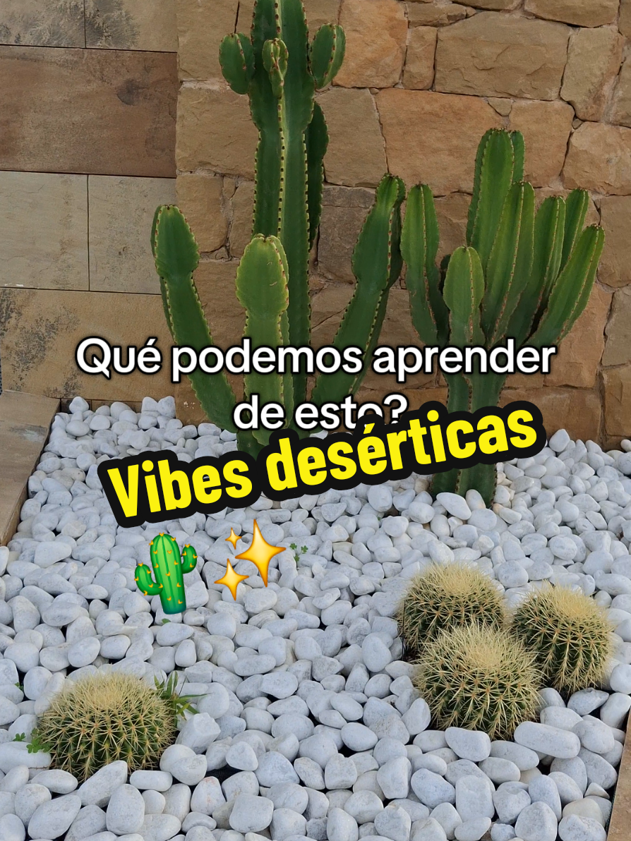 @Succulent_ninja