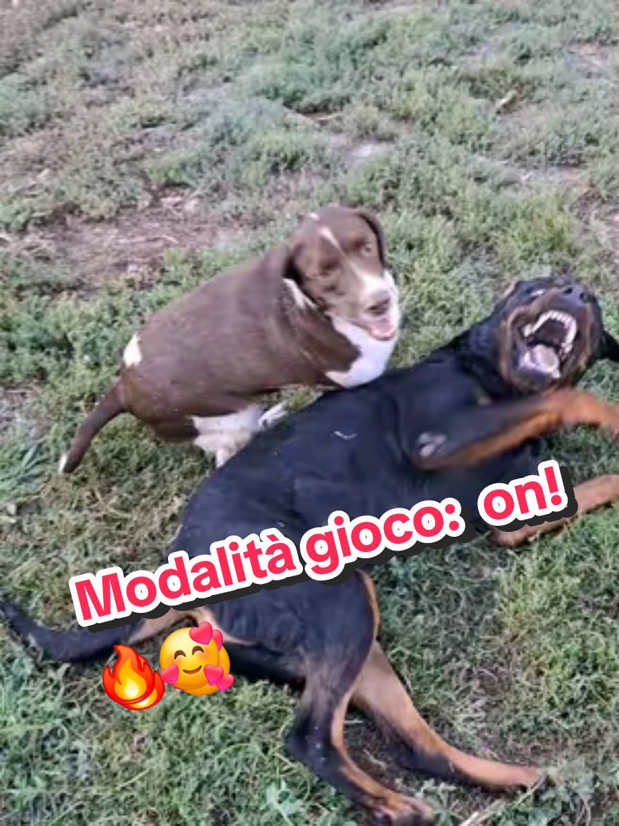 @Elena🍀