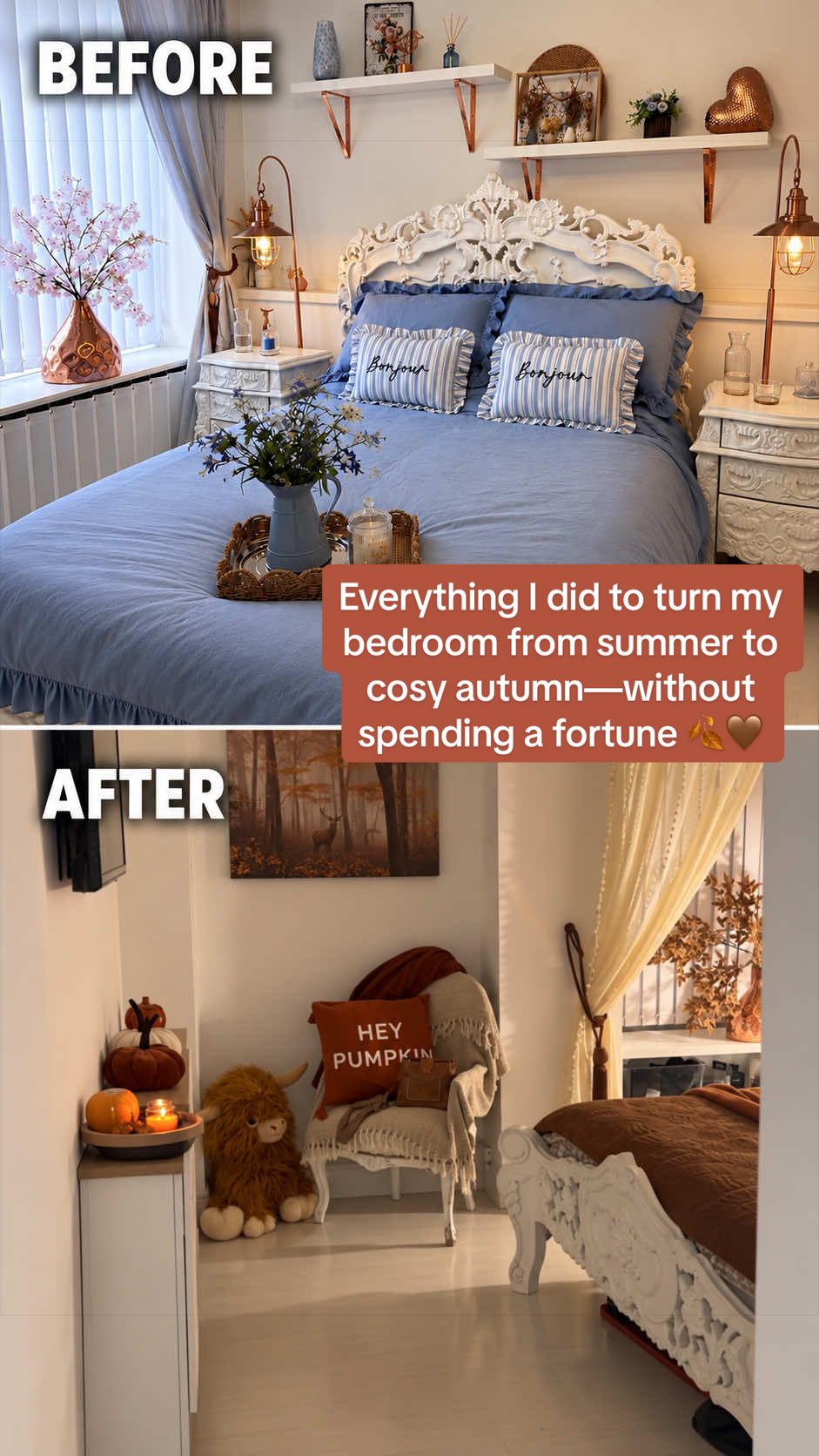 @venturavibed
