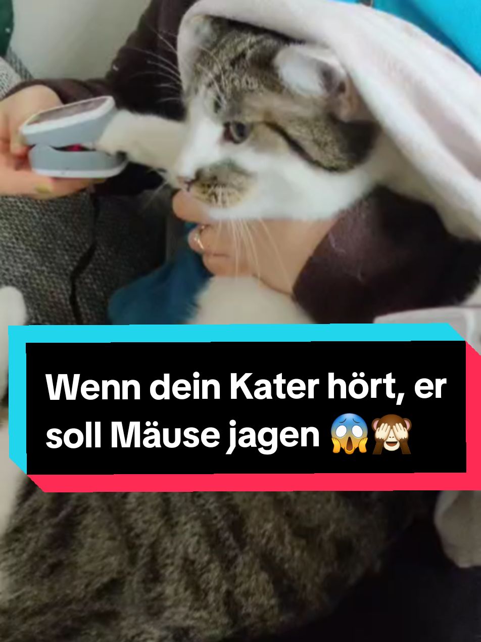@ksematie