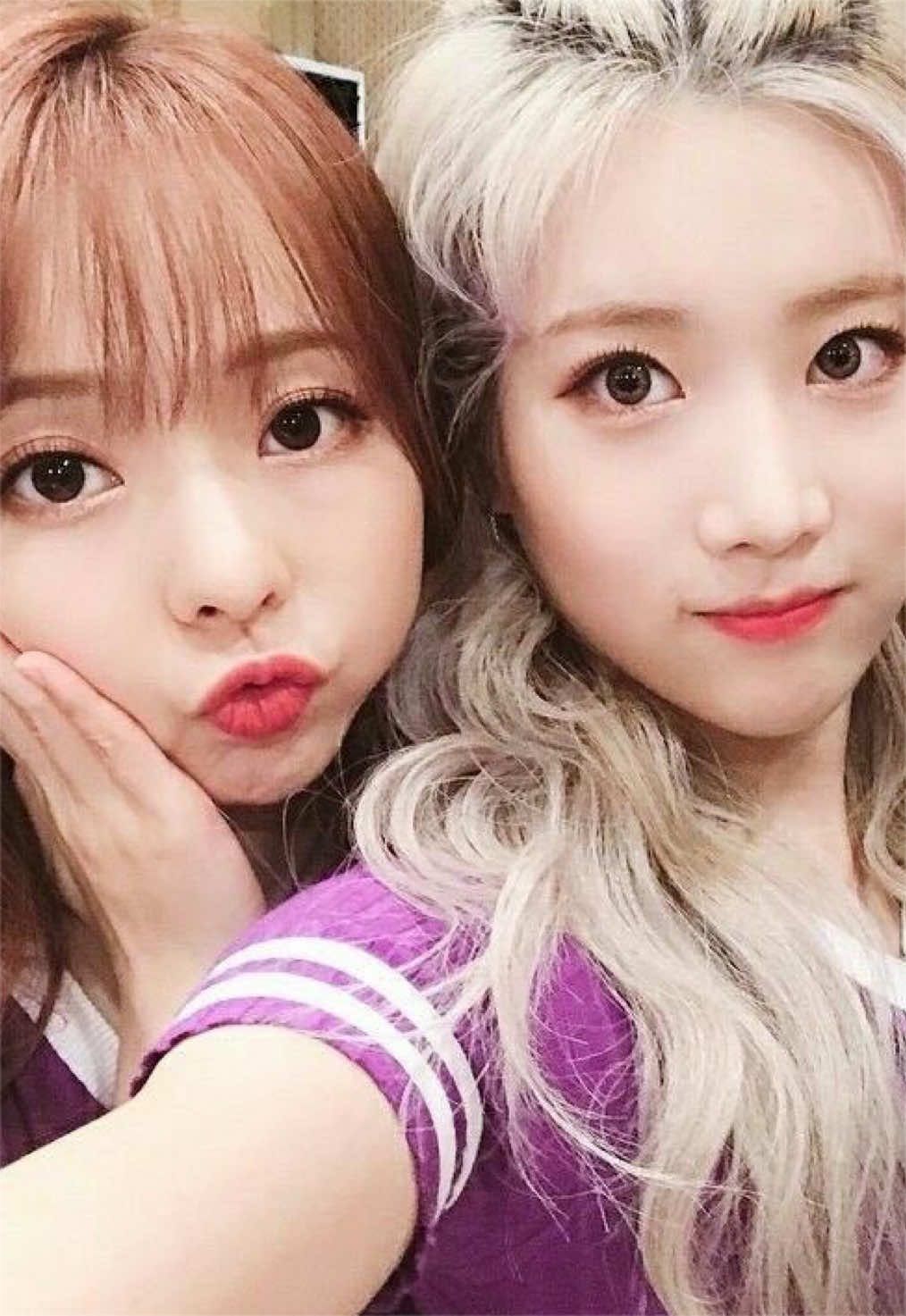 @♯ ⋮ vivi with cat filter¹² 𓏵
