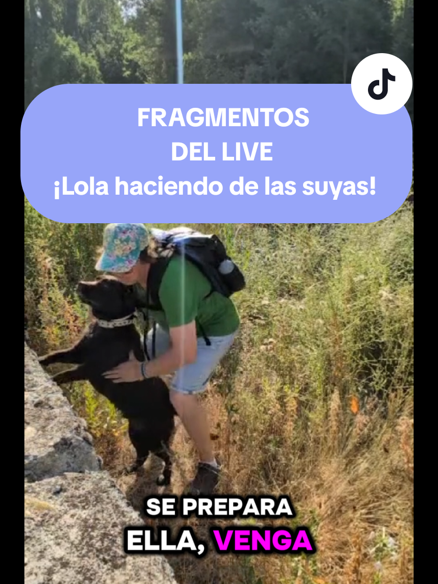 @docemilinviernos