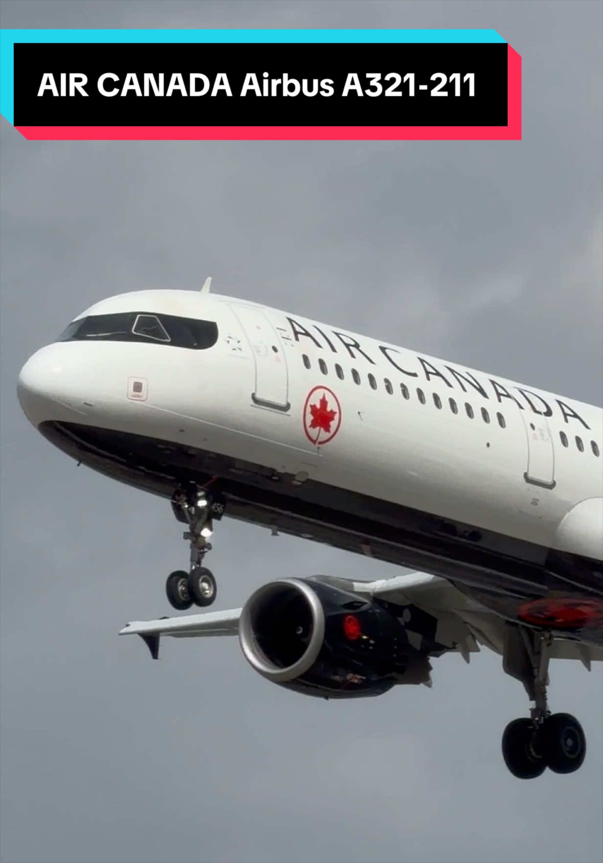 @AVIATION_YYZ_SPOTTER