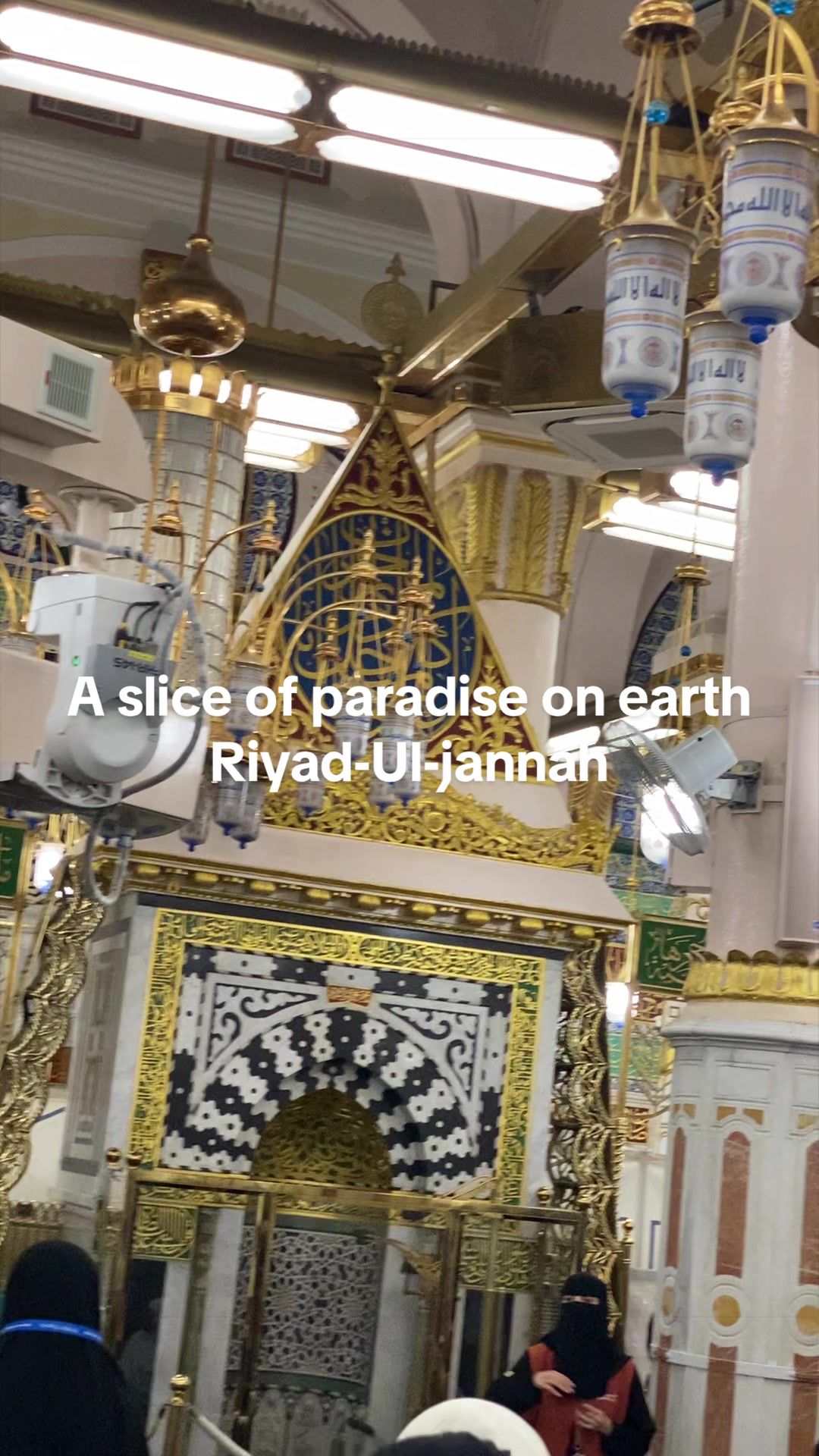 @shagufta0712