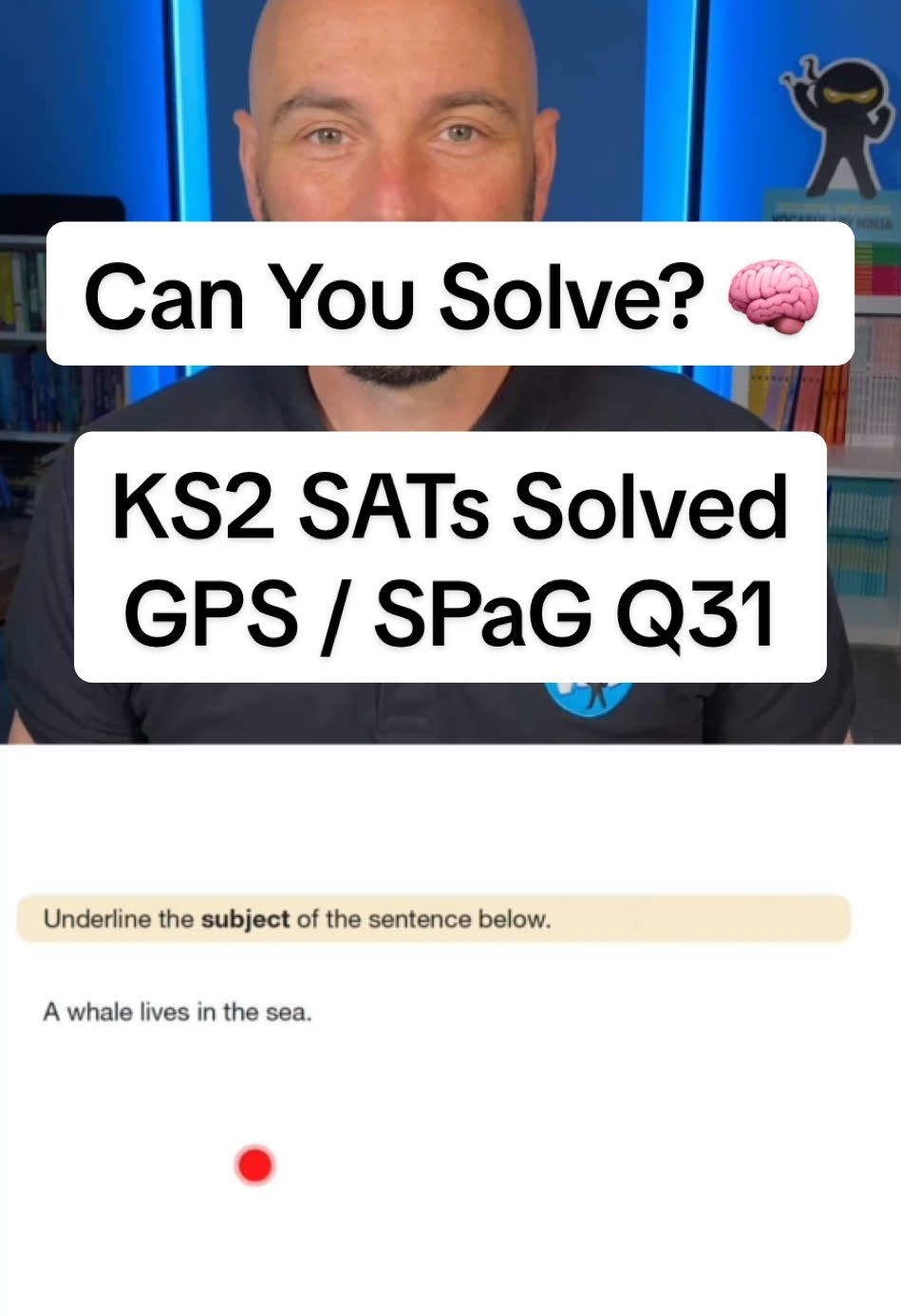 @Vocabulary Ninja
