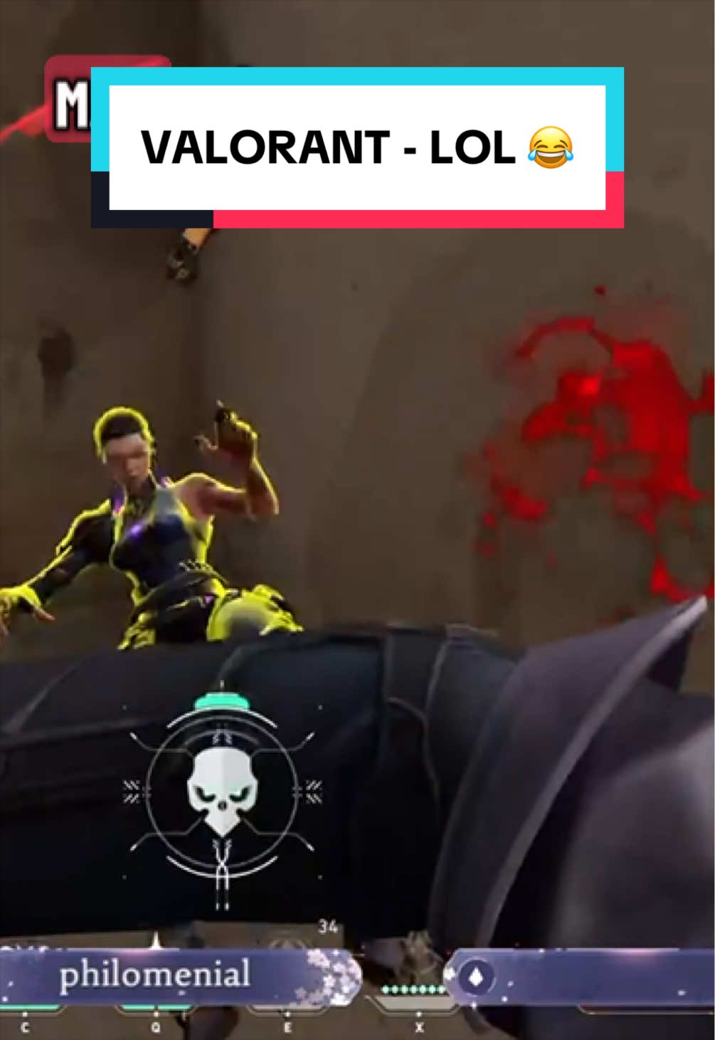 @๐๐ฎ๐ง๐ ๐๐๐๐ฅ๐๐ซ ๐