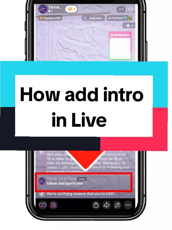@TikTok Tricks Daily