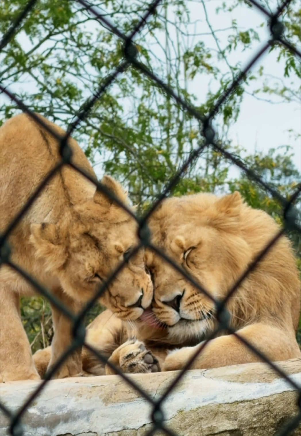 @Hannah Kate