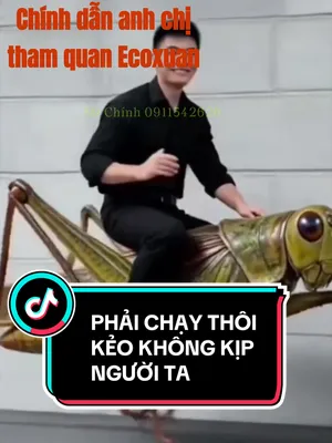 @Trần Ch&iacute;nh