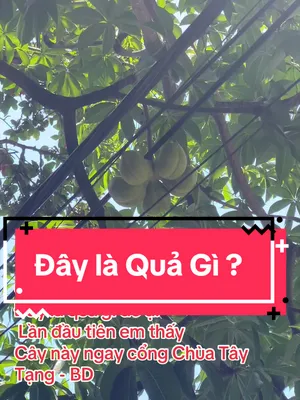 @Trần Ch&iacute;nh
