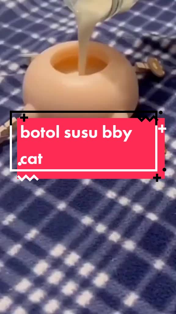 @Pecinta Kucing