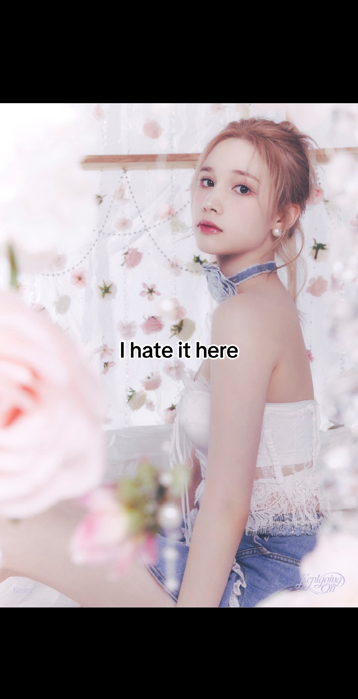 @julia  ⋆˙⟡