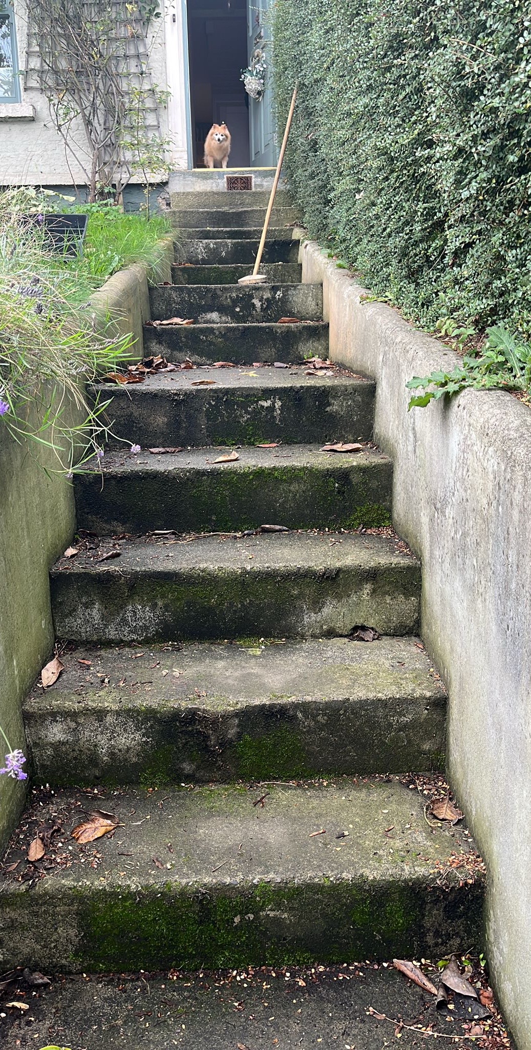 @Powerwashing Dublin