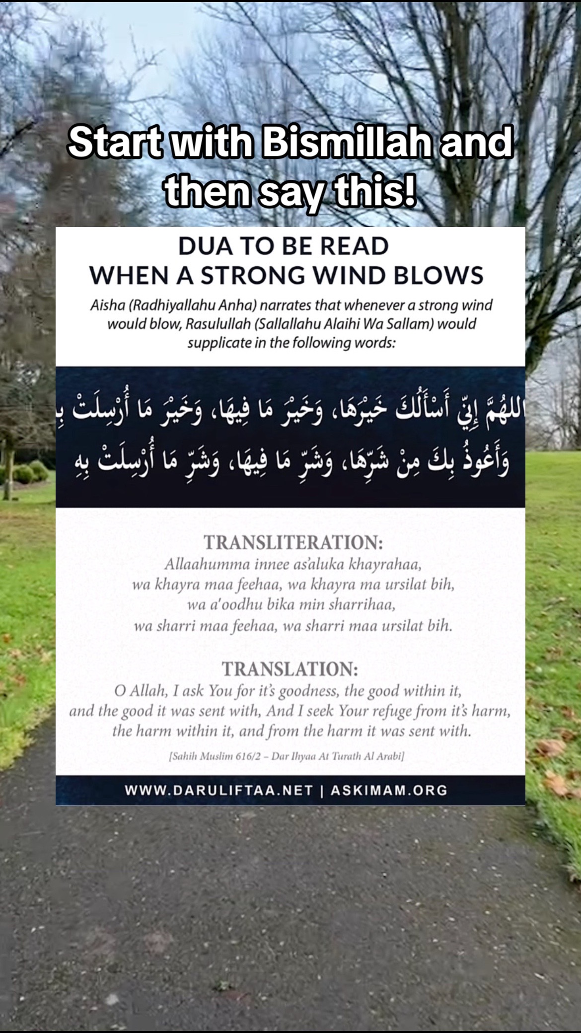 @In&rsquo;sha&rsquo;Allah