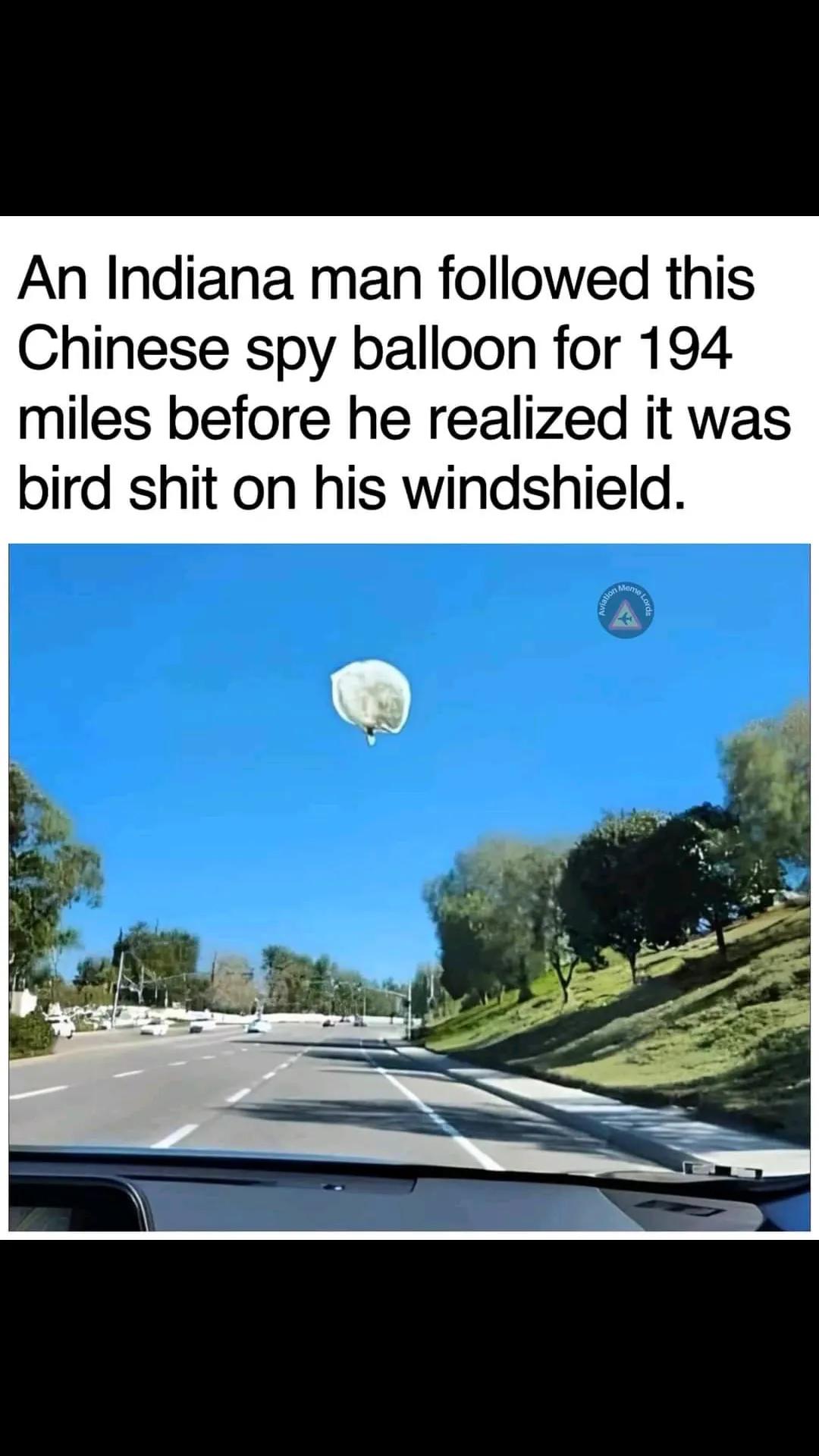 @shaypigeons