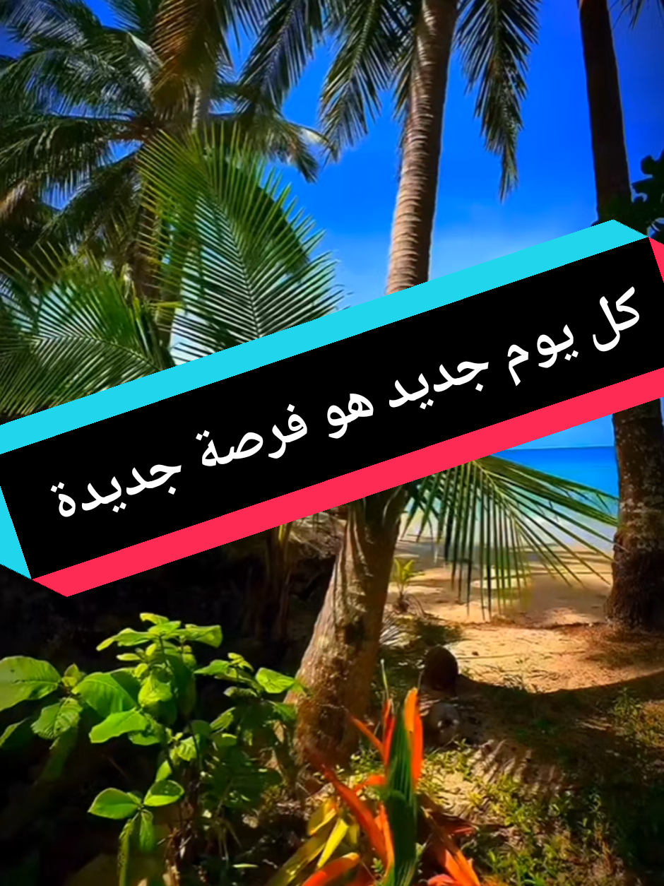 @مشروعك جاهز مع علي عبد الباقي