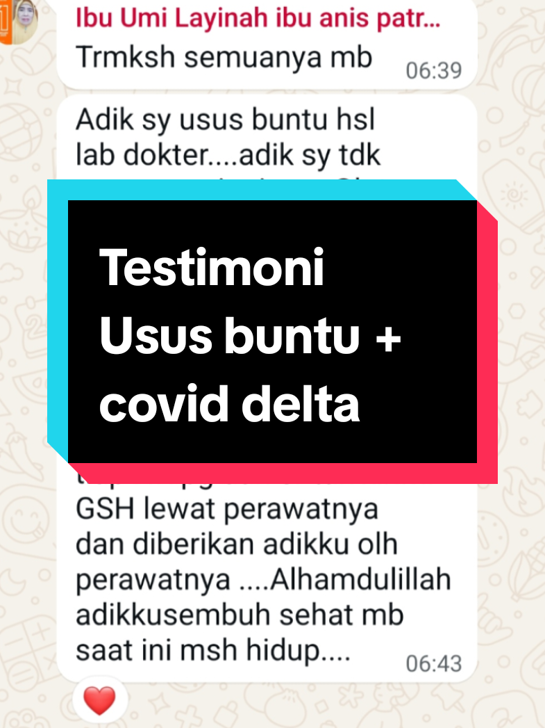 @Agen Resmi Glutera