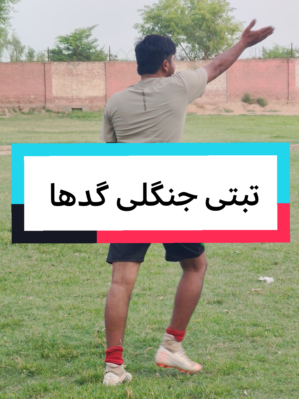 @┗━━━⊱ 𝑩𝑨𝑳𝑶𝑪𝑯 ⊰━━━┛