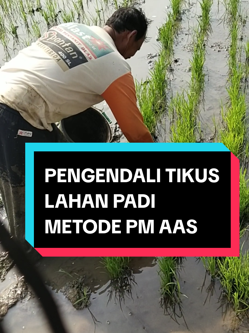 @PPL KOTAMAKMUR