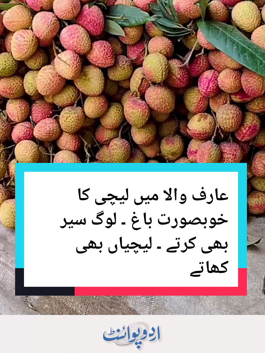 @UrduPoint.com