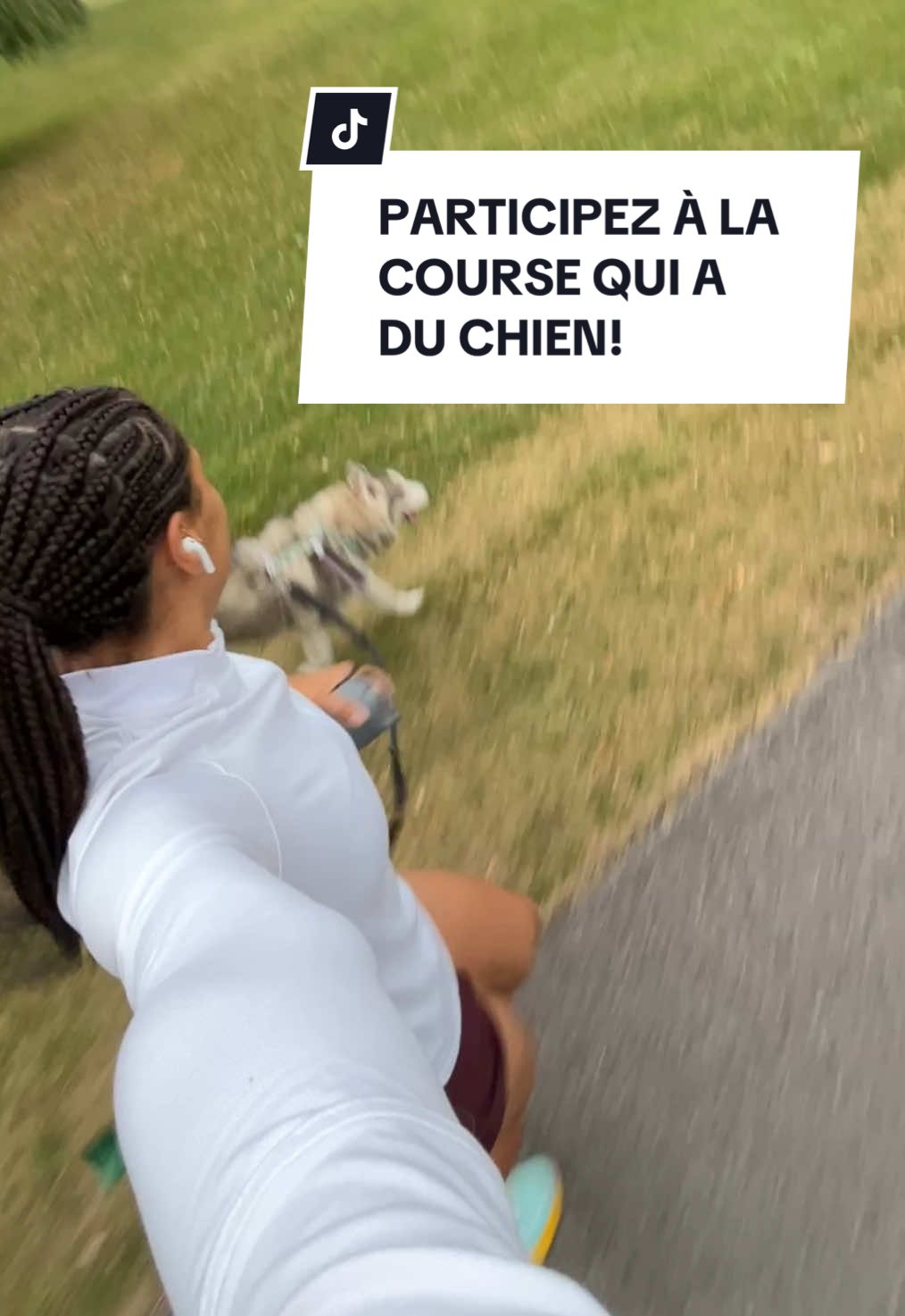 @Montreal SPCA