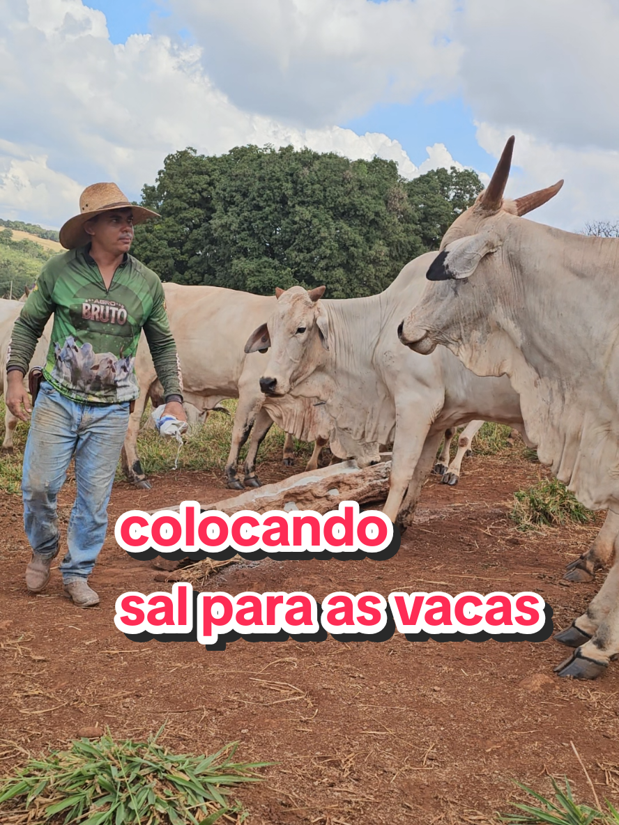 @Geovane neto