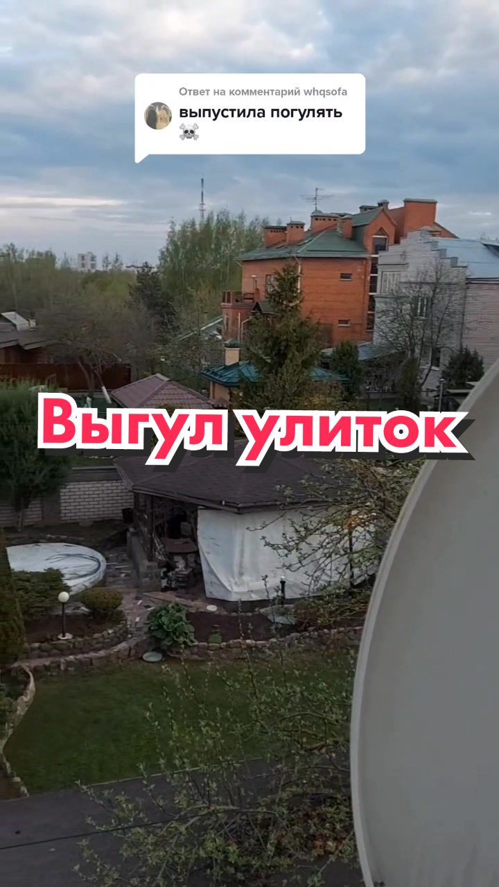 @🐌Яся Ясень🐌