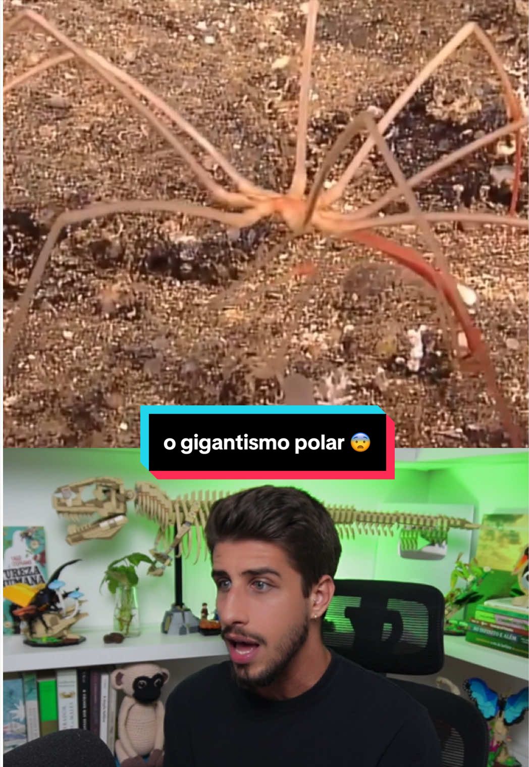@Yago Stephano