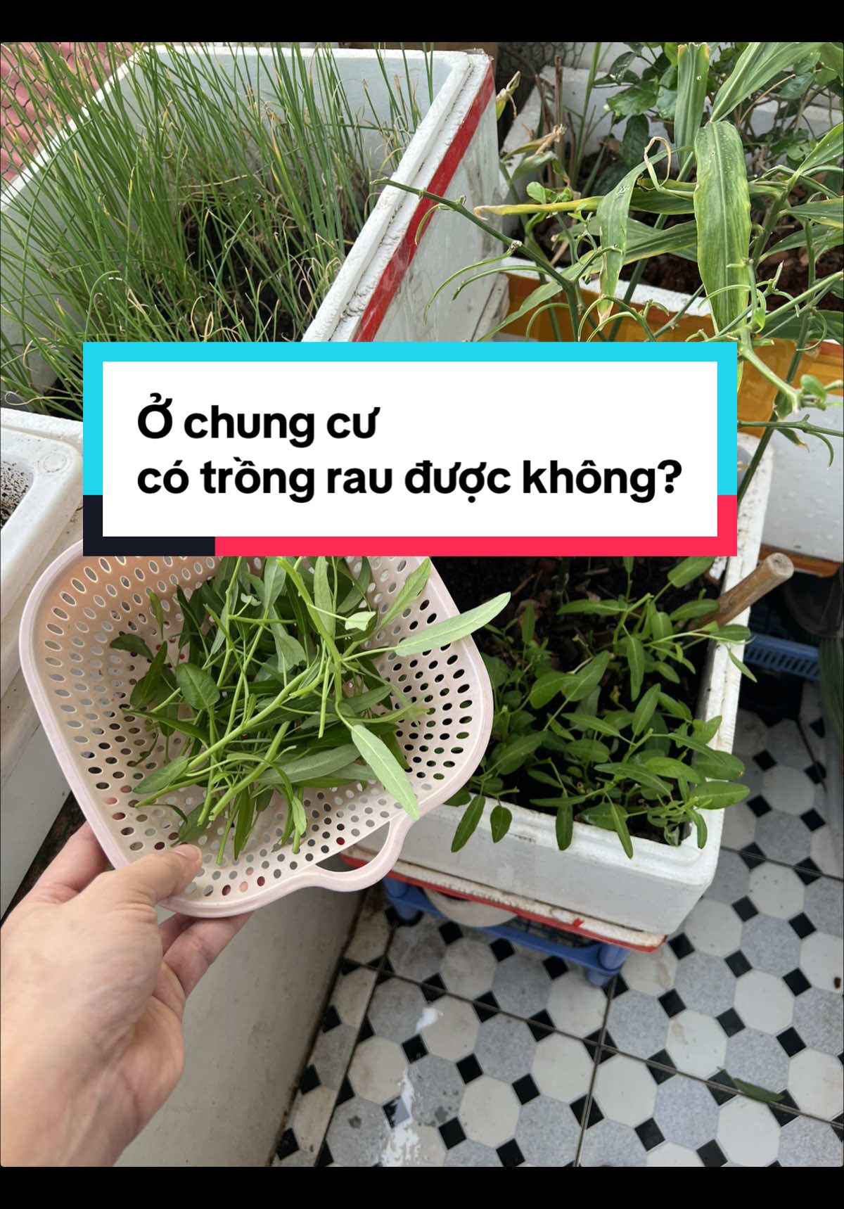 @Gia đ&igrave;nh Gymer