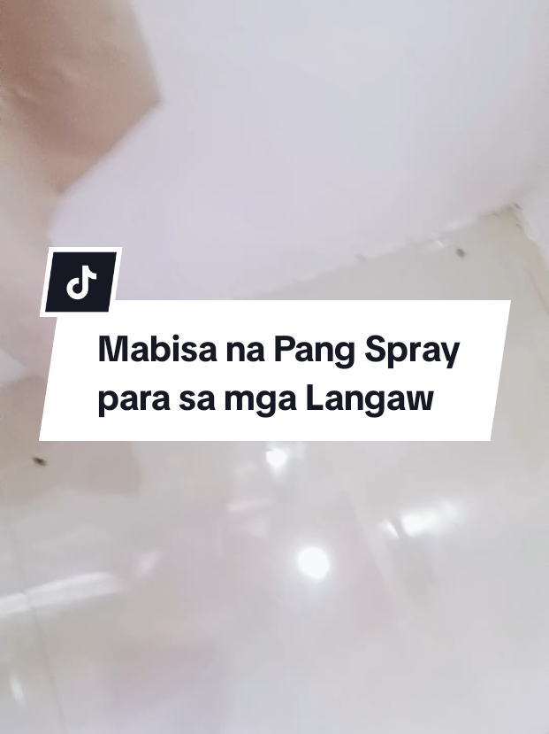 @inday alicia