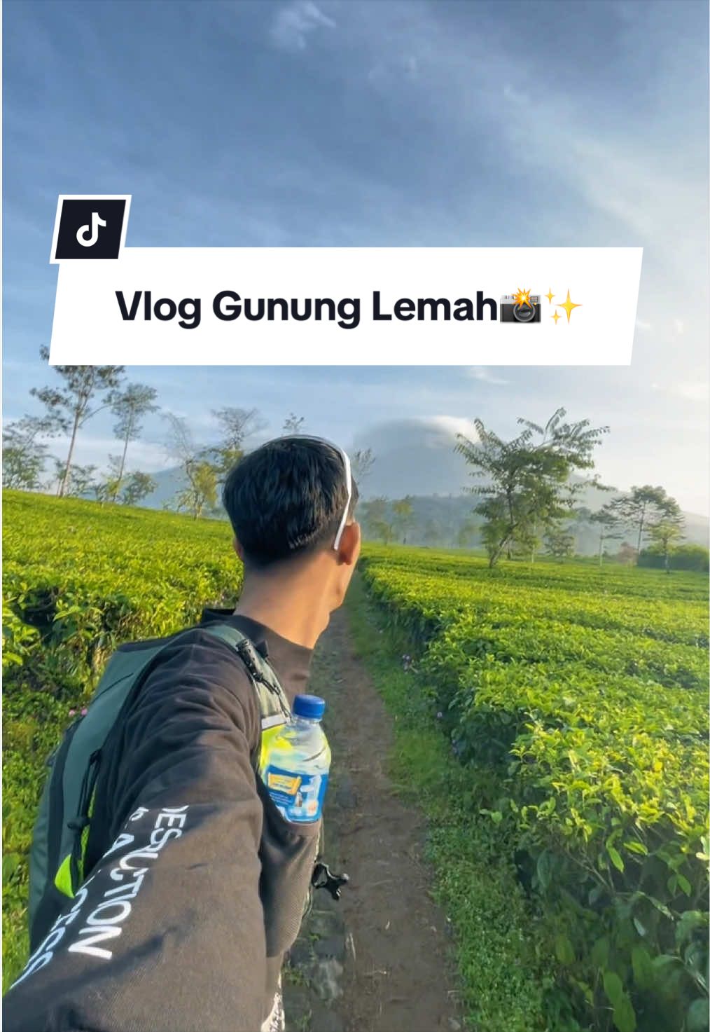 @siebontot