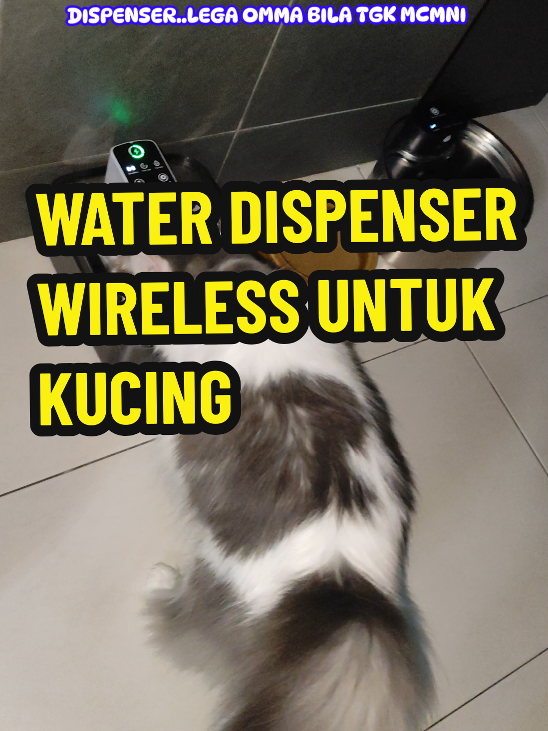 @Omma Kucing 🇲🇾🍉