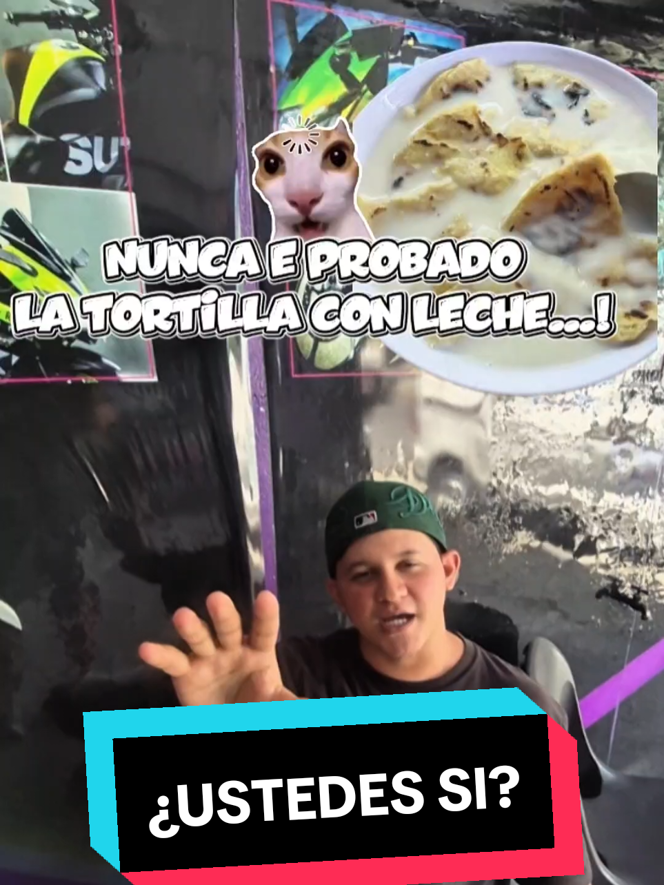 @Trini Art SV