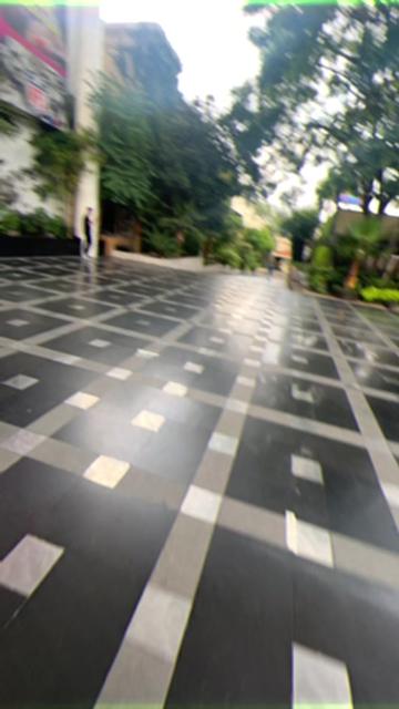 @cocomaxima