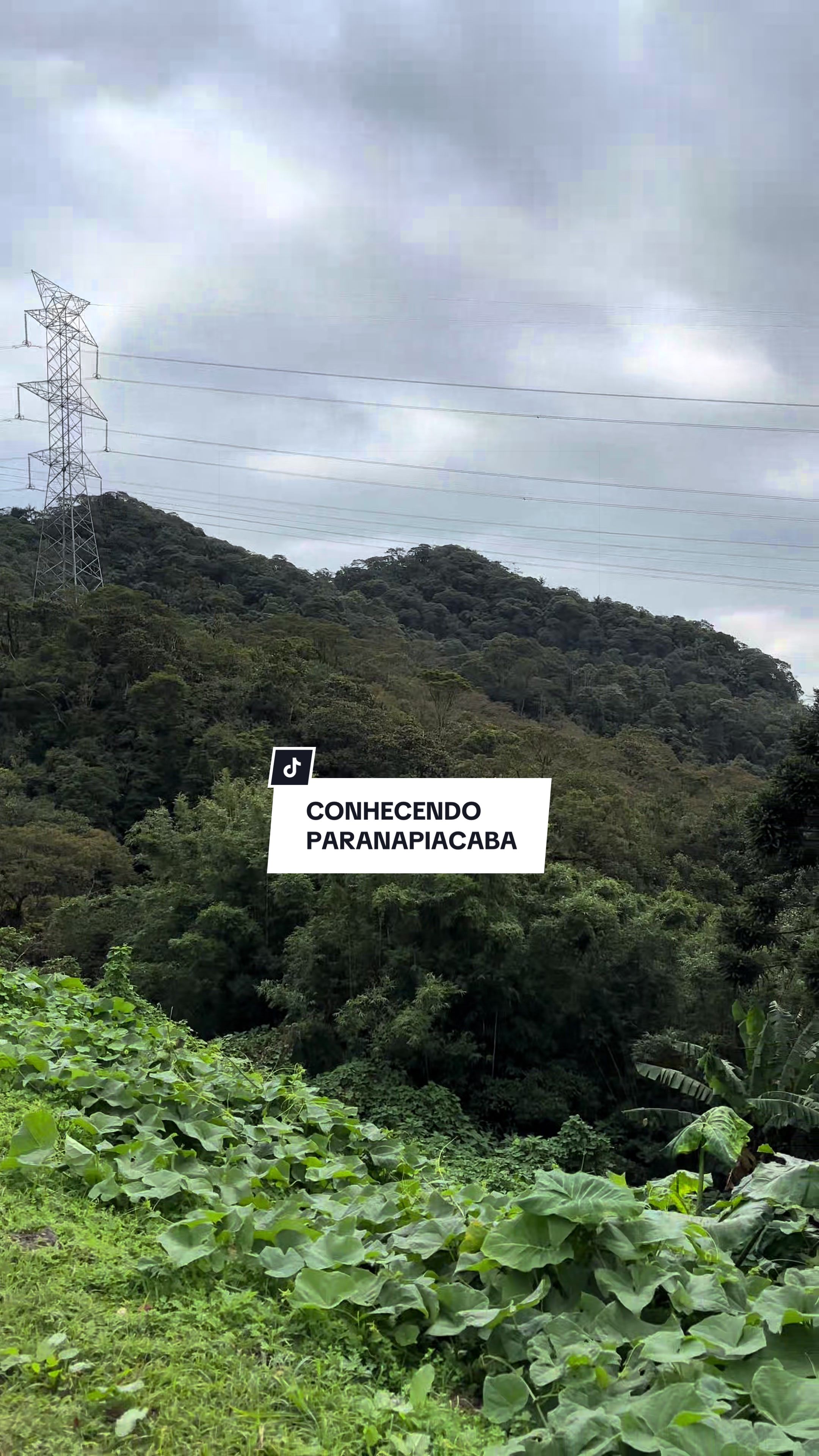 @s&alpha;ท (&Prime;ロ゛)