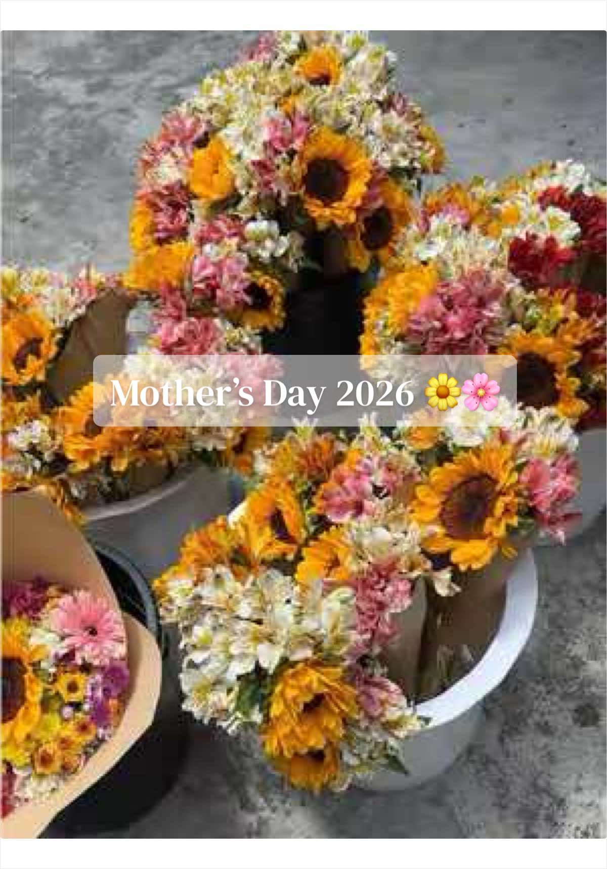@Beloved Blooms
