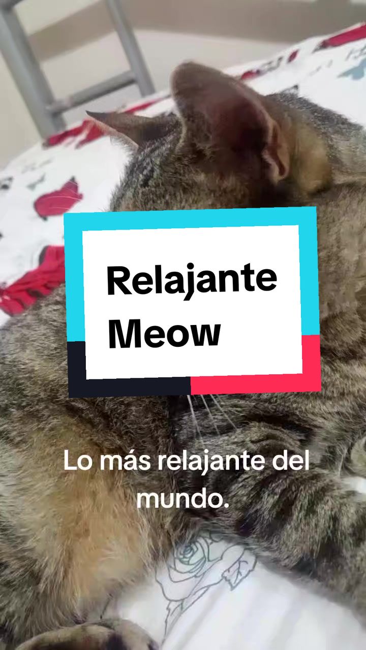 @Ghost Tavo