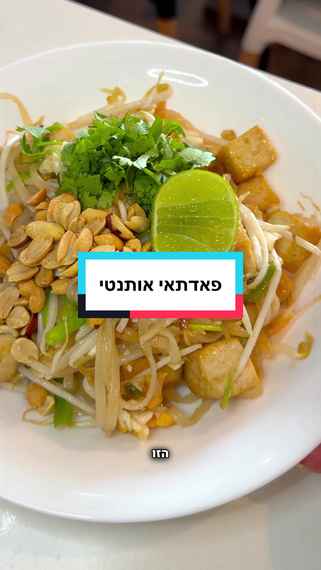@פלפלת | הגר גבאי