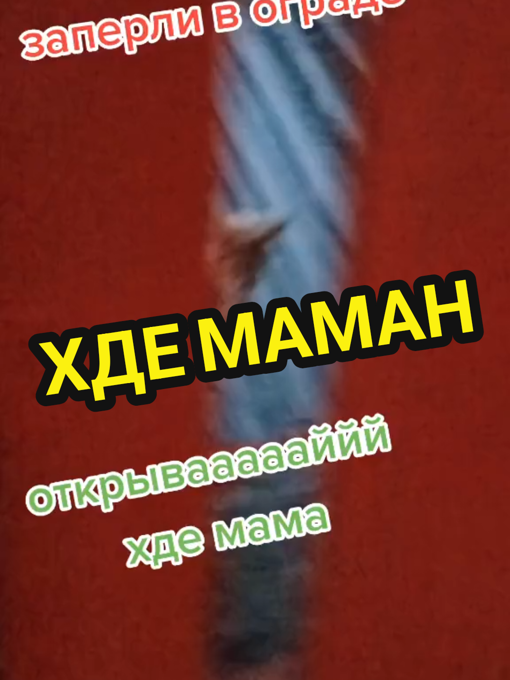@🤟Веня Машаранский✌
