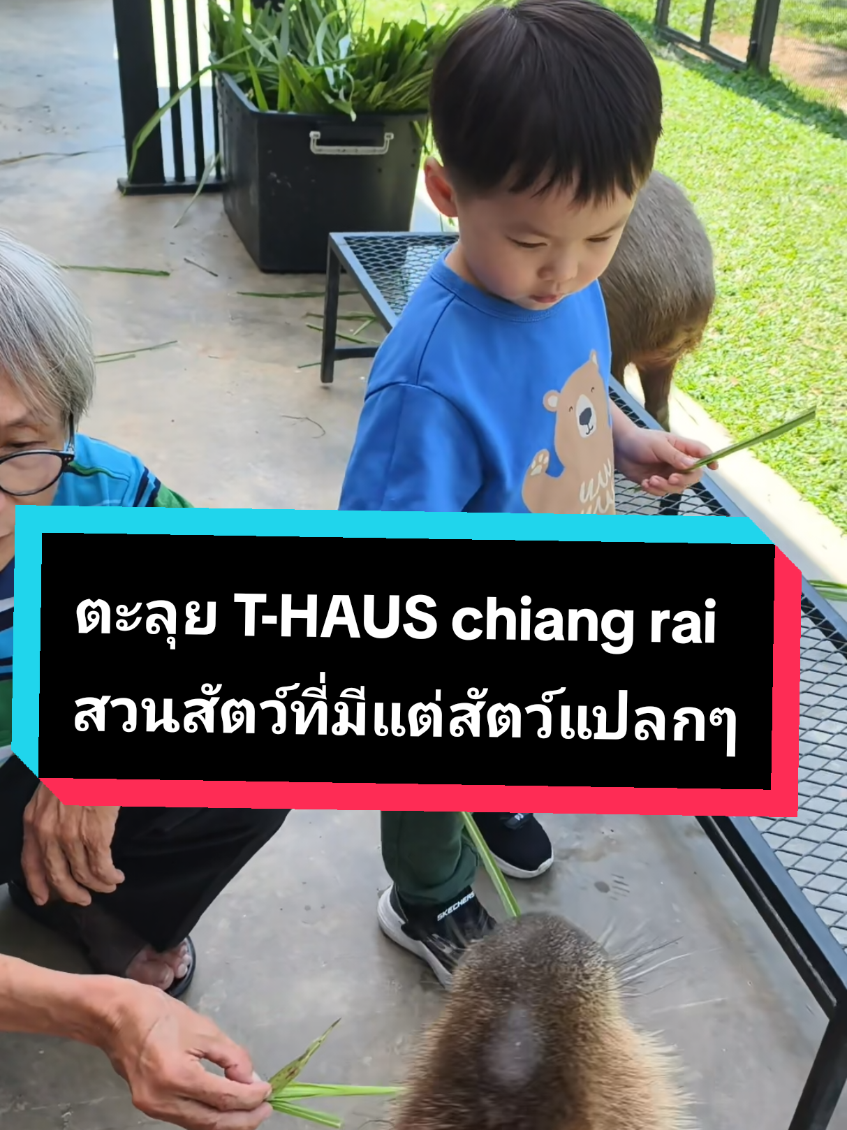 @PJ NJ Family