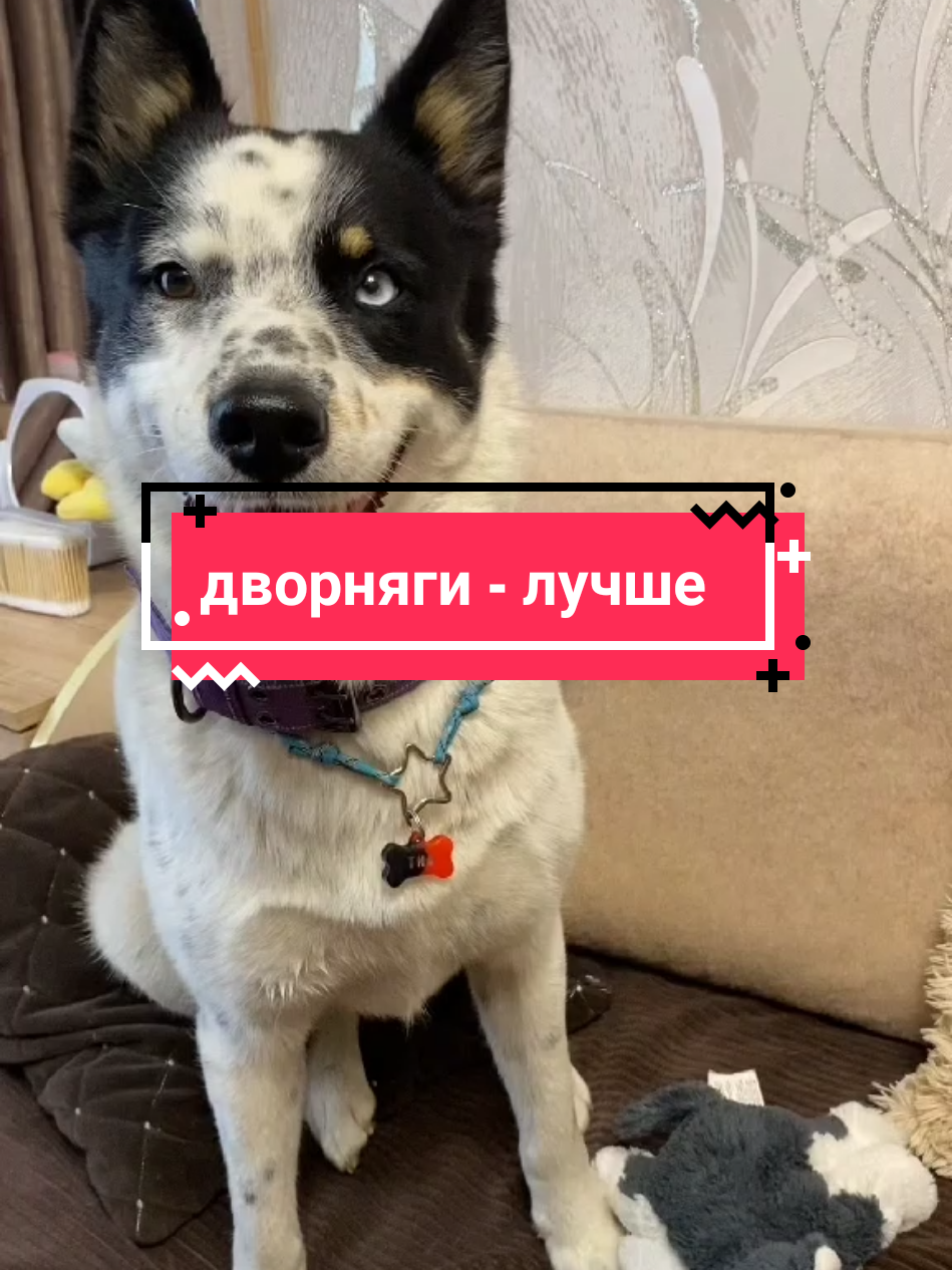 @Калыван