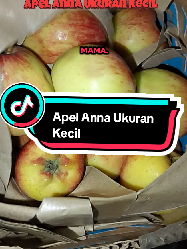 @Sehat Kaya Sejahtera